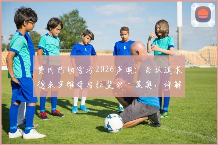 费内巴切官方2026声明：否认追求德米罗维奇与拉斐尔·莱奥，详解球队真实转会策略