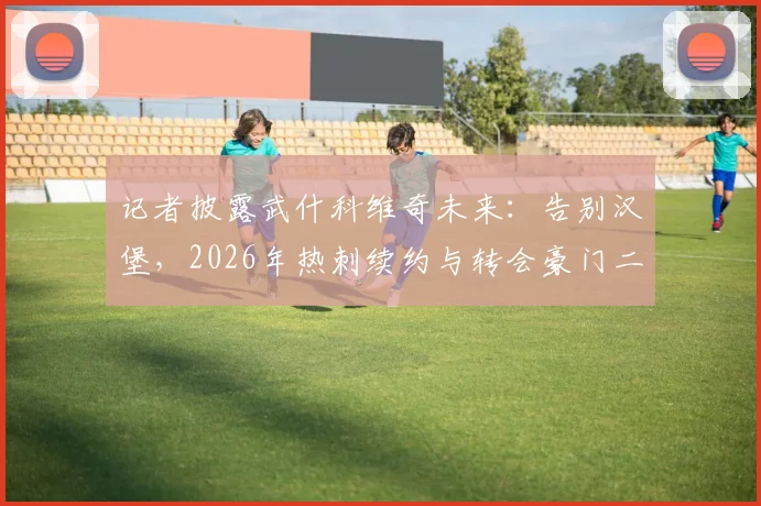 记者披露武什科维奇未来：告别汉堡，2026年热刺续约与转会豪门二选一