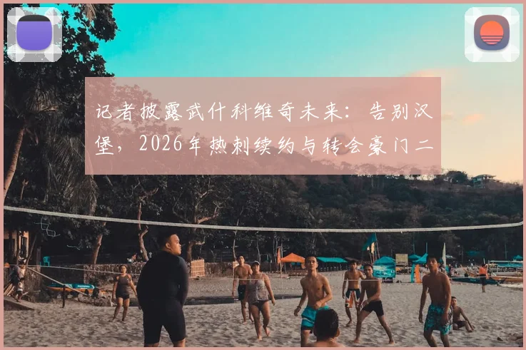 记者披露武什科维奇未来：告别汉堡，2026年热刺续约与转会豪门二选一